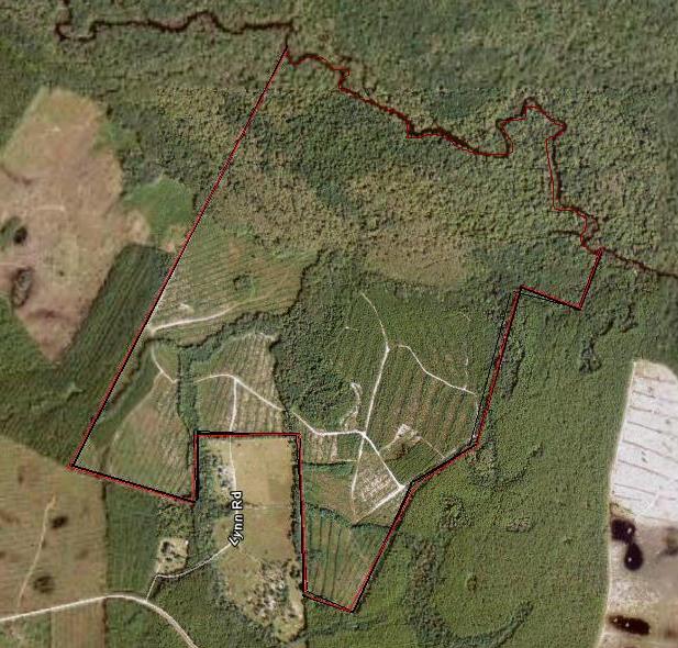 Wooten Land Sales Wayne County